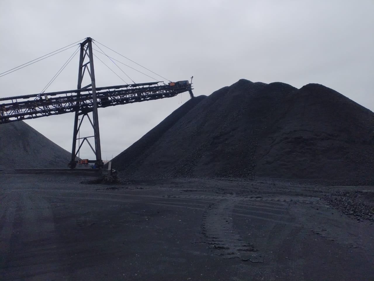 Coal Monitoring & Sampling